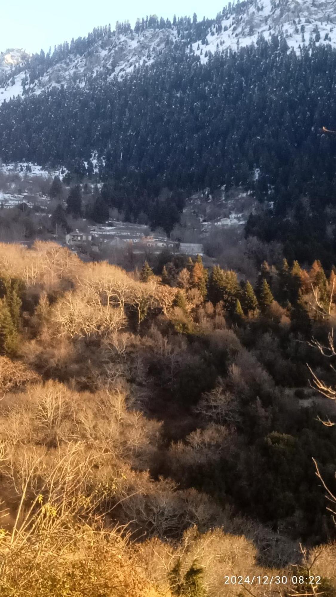 Archontiko Tou Krommyda Eláti Exterior foto